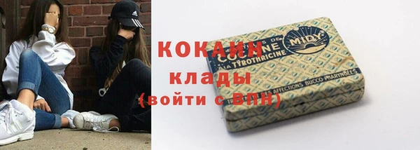 ПСИЛОЦИБИНОВЫЕ ГРИБЫ Балабаново