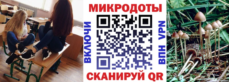 даркнет телеграм  Лебедянь  Галлюциногенные грибы мухоморы  как найти закладки 